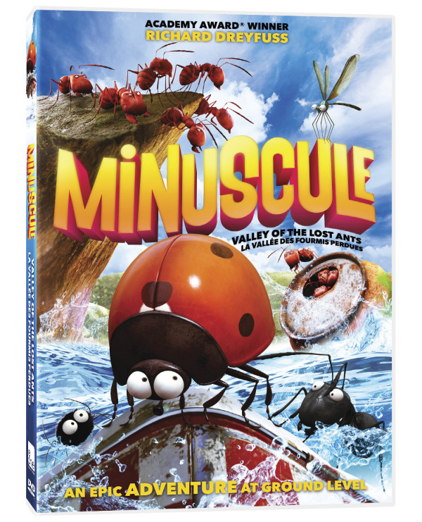 Minuscule: Valley of the Lost Ants 2013 - YTS Movies Torrent