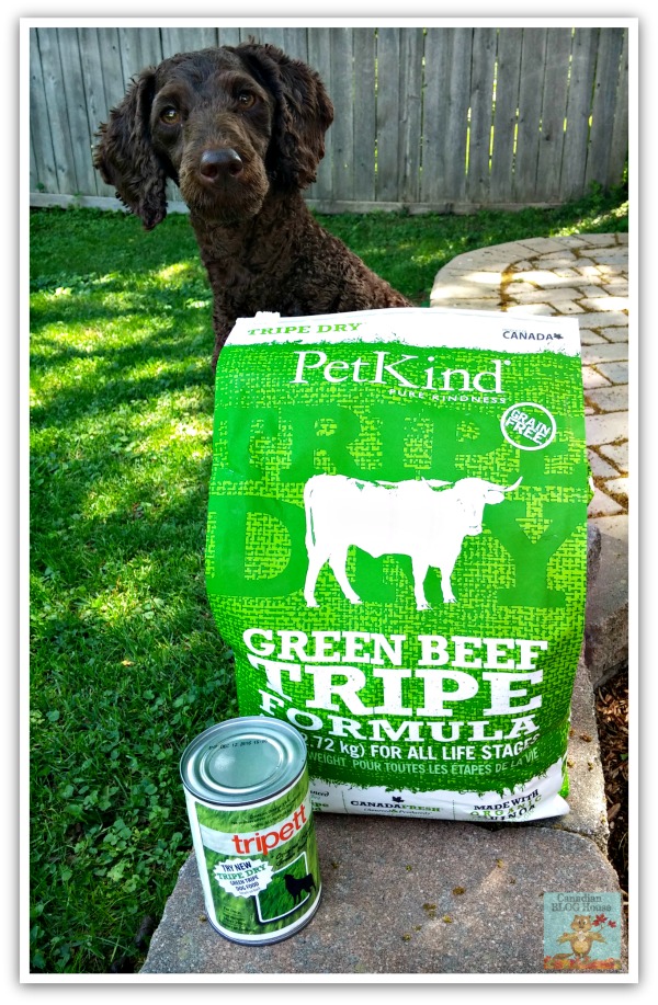 Tripett Green Beef Tripe PetKind Dog Food And Guinness