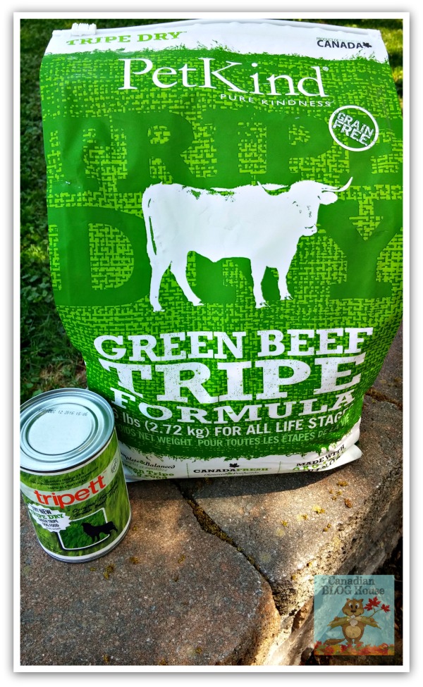 PetKind Green Beef Tripe kibble and Green Beef Tripe canned 