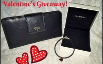 Valentine's Day Giveaway From Maple Mouse Mama