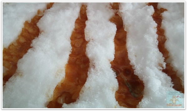 Rows of Canadian Maple Taffy on fresh snow