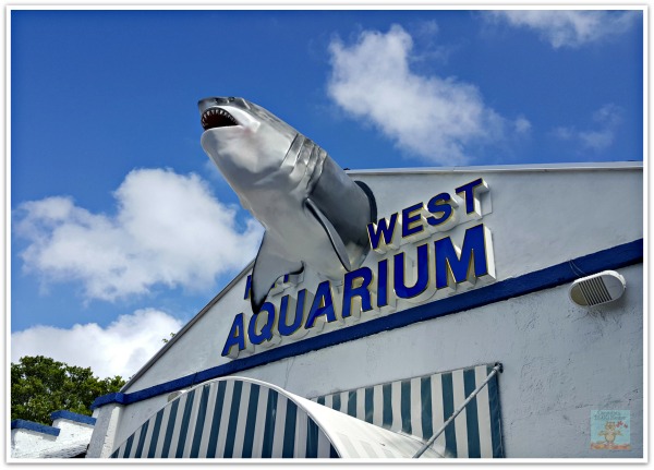 Key West Aquarium in Quaint and Quirky Key West