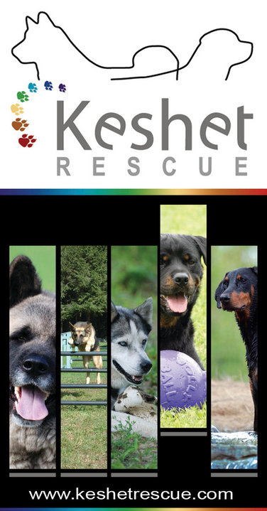 Keshet Kennels