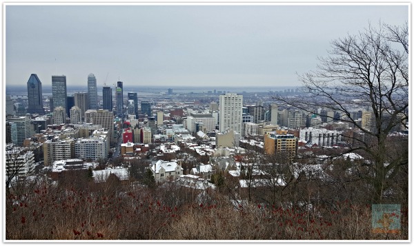 Montreal in 3 hours City of Montreal From Mount Royal  