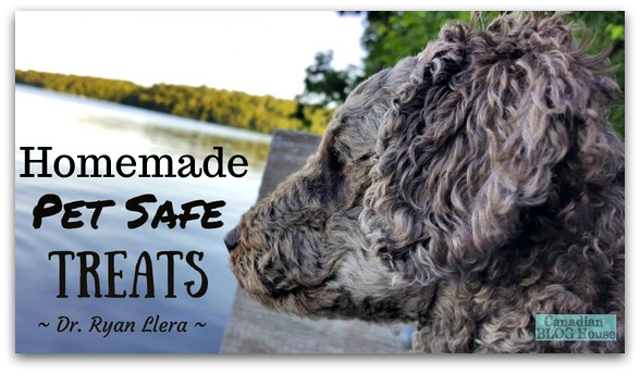 Homemade Pet Safe Treats