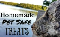 Homemade Pet Safe Treats