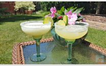 Marvelous Margaritas Recipe