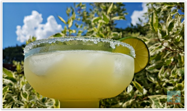 Marvelous Margarita Recipe