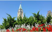 Peace Tower Parliament Hill