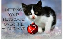 Pets Safe Over Holidays