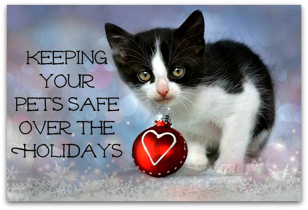 Pets Safe Over Holidays