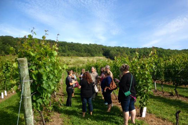 Breakaway Experiences Nova Scotia Wine Tour