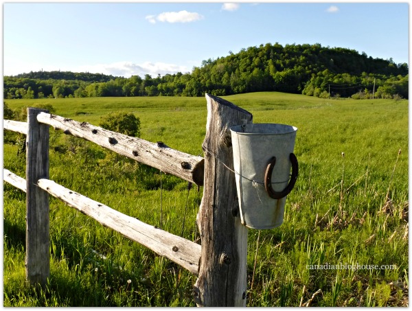 Farm Fence Western Quebec Fujifilm FinePix XP120