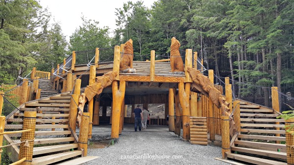 Parc Omega Wolves Bears