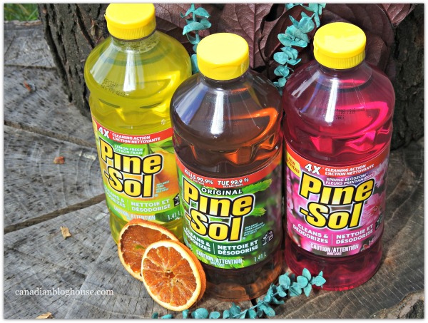 Pine-Sol Scent Memories