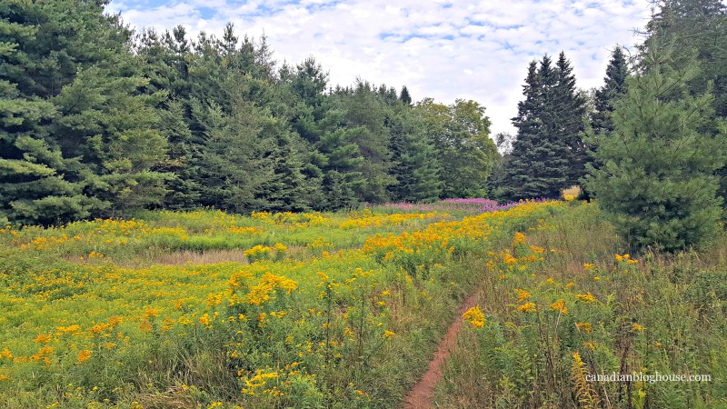 Things to love about Prince Edward Island Canada