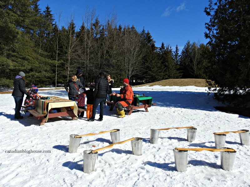 Maple Sap Buckets Ganaraska Ontario Daycation