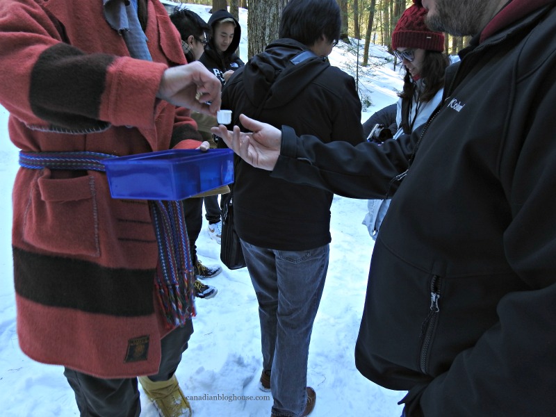 Sampling Fresh Sap At Ganaraska Ontario Daycation