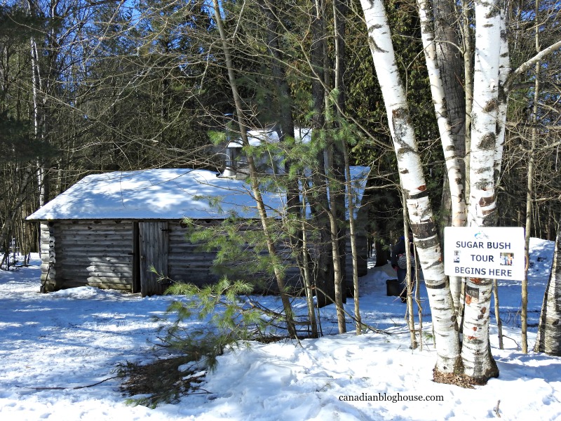 Sugar Bush Tour Ganaraska Ontario Daycation