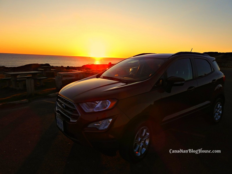 St. John's Newfoundland in 36 hours Ford EcoSport experience