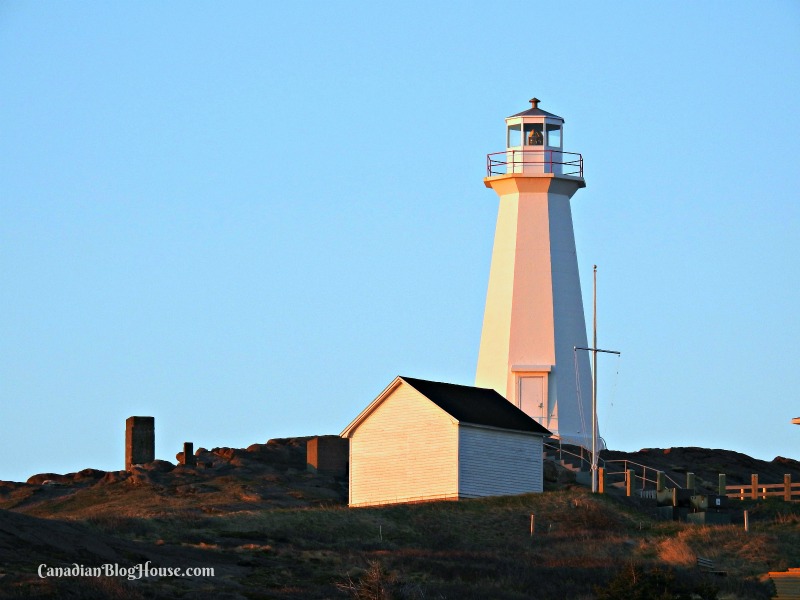 St. John's Newfoundland in 36 hours Ford EcoSport experience