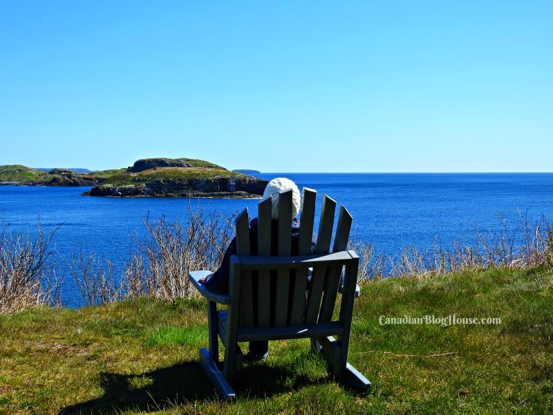 St. John's Newfoundland in 36 hours Ford EcoSport experience