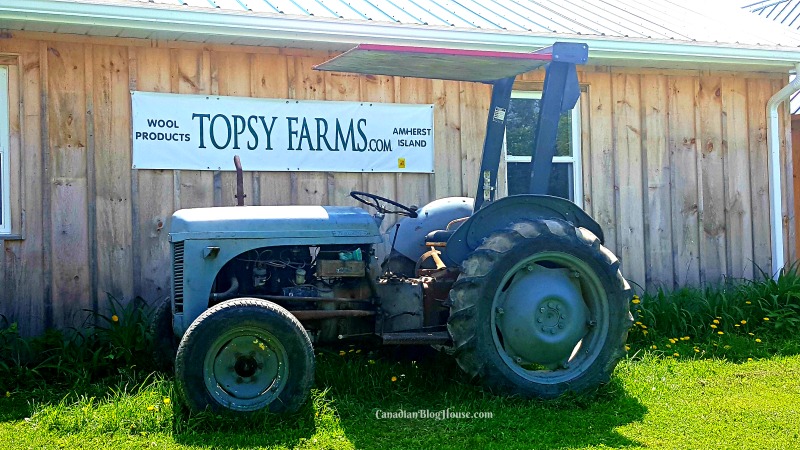 Topsy Farms great Ontario road trip destination
