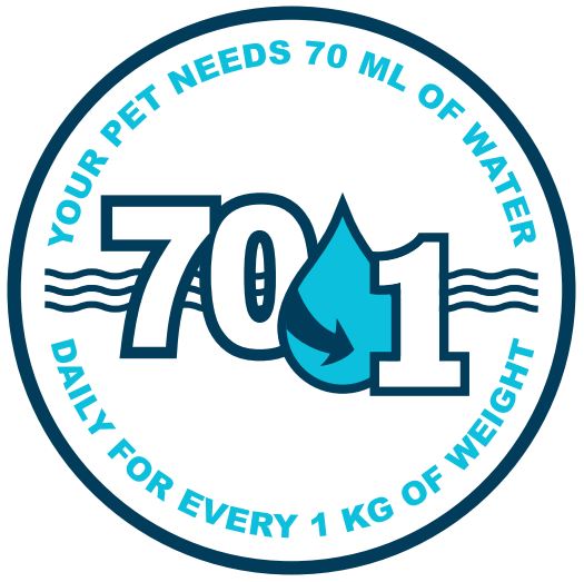 Your Pet Needs 70ml of water daily pet dehydration