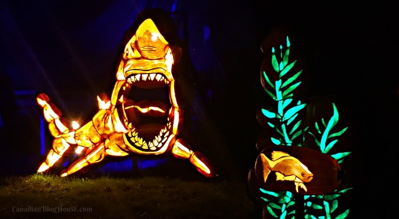 Pumpkinferno Handcrafted Pumpkins Shark