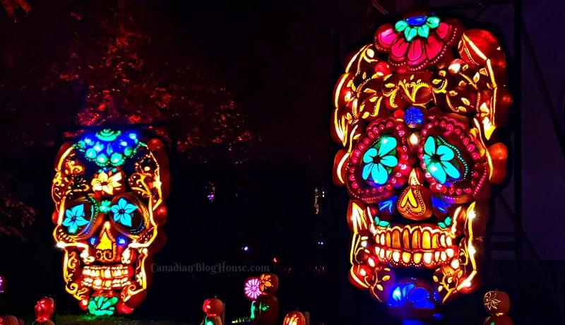 Pumpkinferno Handcrafted Pumpkins Skeleton heads