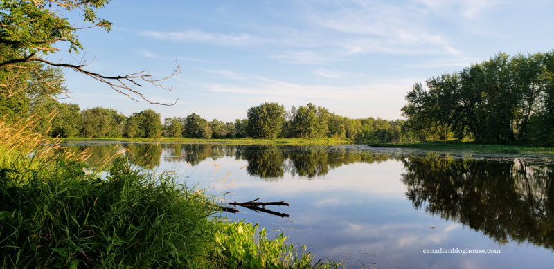 Petrie Island Ottawa by car