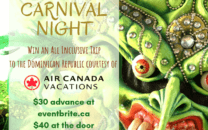 Dominican Carnival Night Promotional Sign