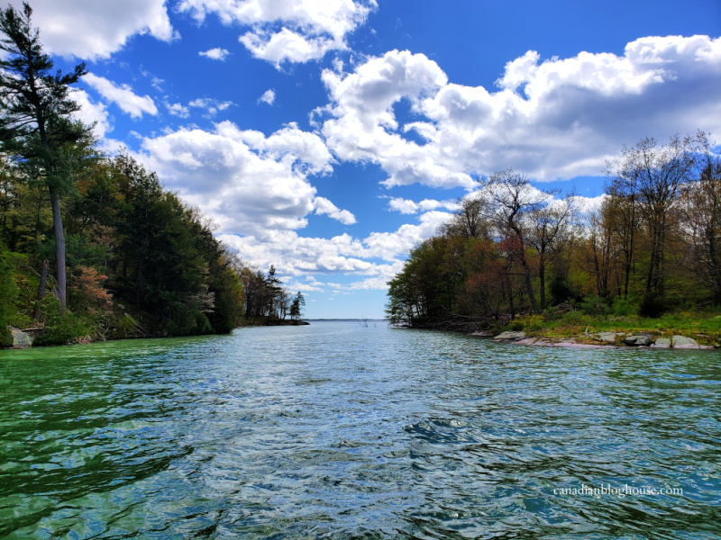 View of water between two islands in Thousand Islands National Park