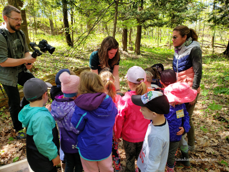 Learning about turtles at Thousand Islands National Park