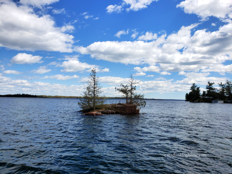 View of small island in the St. Lawrence River