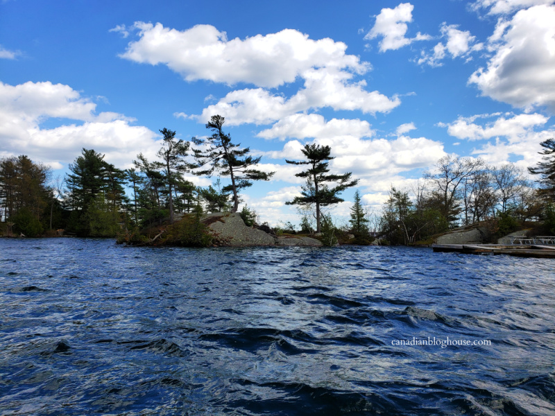 View of a tree-lined island in Thousand Islands National Park