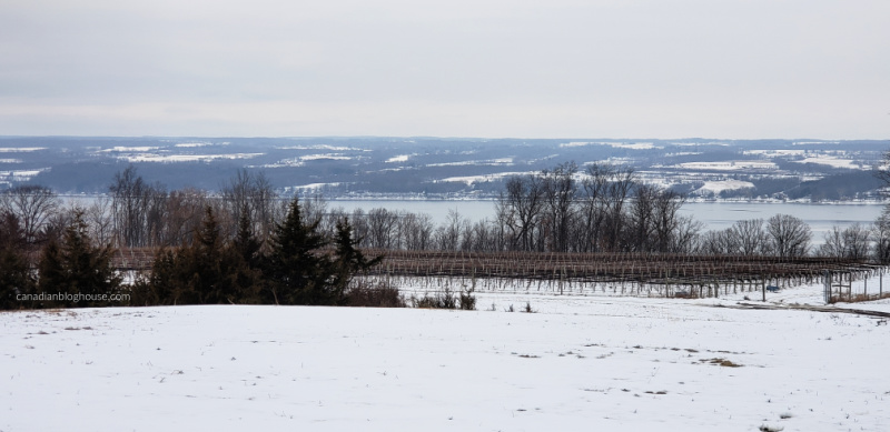 Tour Cayuga County Bright Leaf Winery