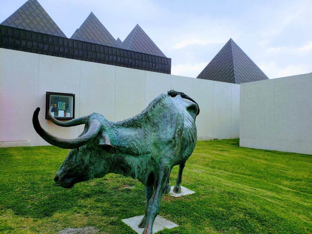 Bull out front the Corpus Christi Art Museum of South Texas