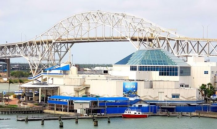 View of Harbor Bridge and Texas State Aquarium Family Fun on the Texas Gulf Coast