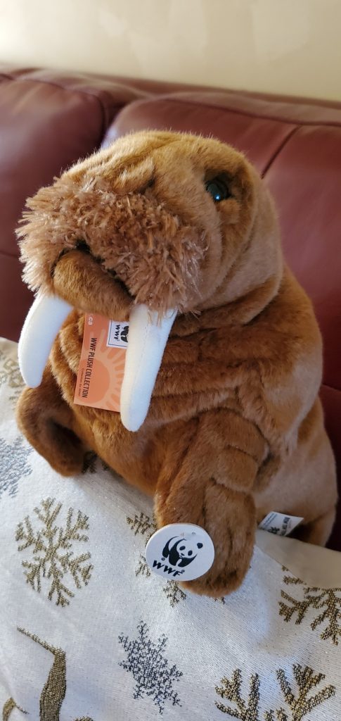 WWF-Canada gift with impact adoptable plushie walrus
